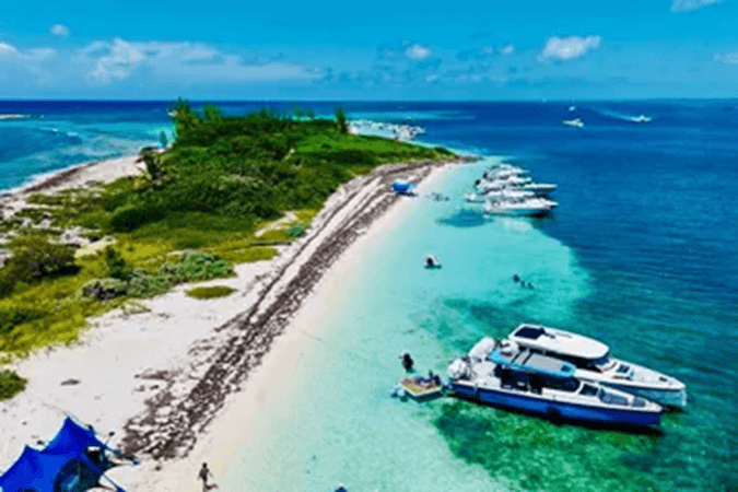 2021 OUT OF THE BLUE