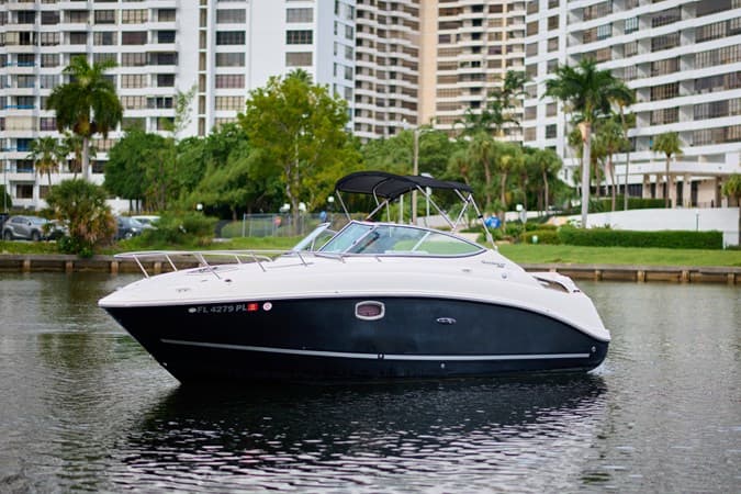 2011 WELCOME TO THE JUNGLE